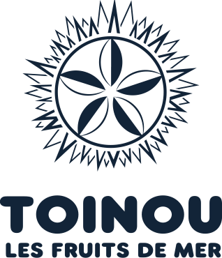 logo TOINOU